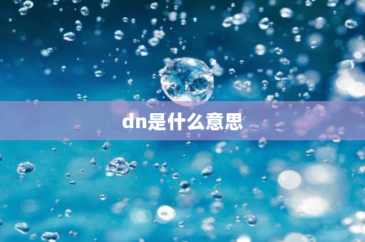 dn是什么意思 dn表示什么意思？