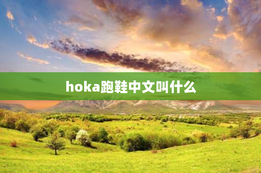 hoka跑鞋中文叫什么 hoka跑鞋是哪国品牌？