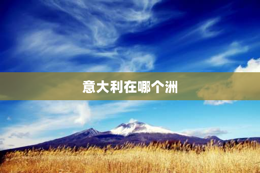 意大利在哪个洲 美国、澳大利亚、新西兰、法国、英国、意大利、德国、加拿大、印度尼西亚分别属于哪个洲的？