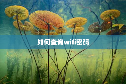 如何查询wifi密码 wifi连上后怎么查密码？