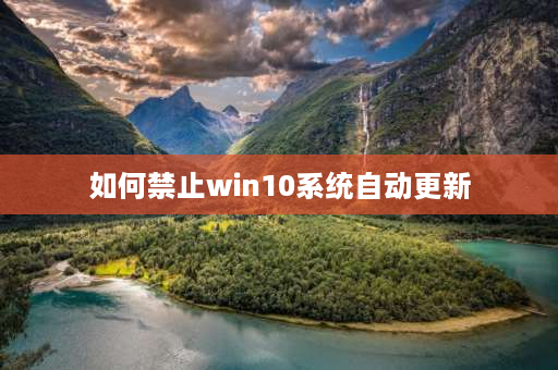 如何禁止win10系统自动更新 win10一开机就显示正在更新，现在卡住不动了，但是我着急用电脑怎么办，能长按电源键关机吗？