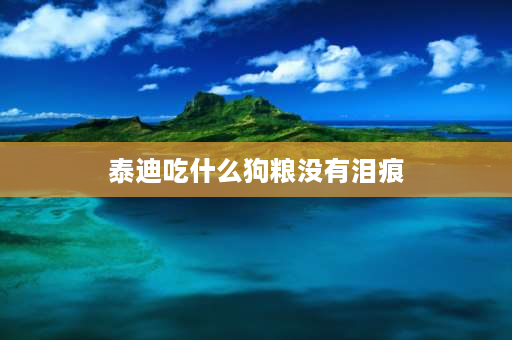 泰迪吃什么狗粮没有泪痕 泰迪犬最喜欢吃的狗粮？