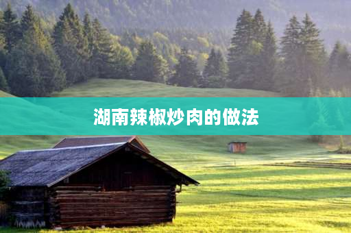 湖南辣椒炒肉的做法 湖南辣椒炒肉做法50字？