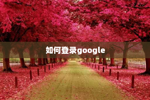 如何登录google 谷歌浏览器怎么登陆？