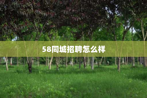 58同城招聘怎么样 58同城招聘靠谱么？