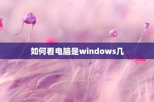 如何看电脑是windows几 怎么查自己电脑的Microsoft账户？