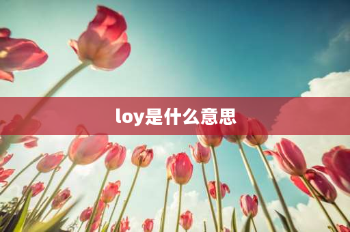 loy是什么意思 银手镯上的loy是什么意思？