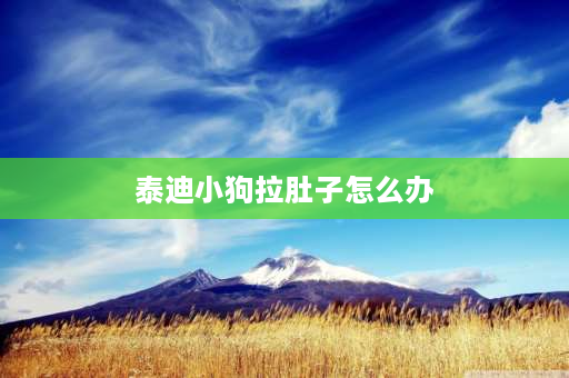 泰迪小狗拉肚子怎么办 一个月的小泰迪有点拉肚子怎么办？