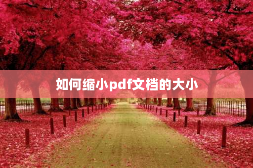 如何缩小pdf文档的大小 pdf内存太大怎么变小？