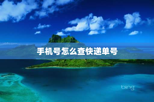 手机号怎么查快递单号 快递单号不知道手机号可以查吗？