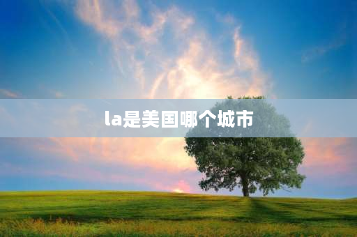 la是美国哪个城市 LA啥意思？