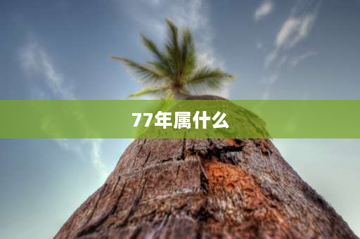 77年属什么 77年的人属什么？