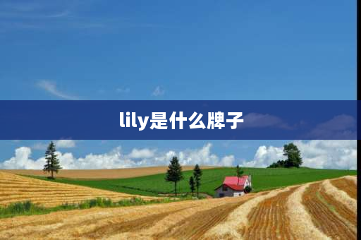 lily是什么牌子 lili是什么档次的品牌？