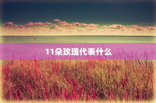 11朵玫瑰代表什么 9朵和11朵玫瑰花代表的意义？