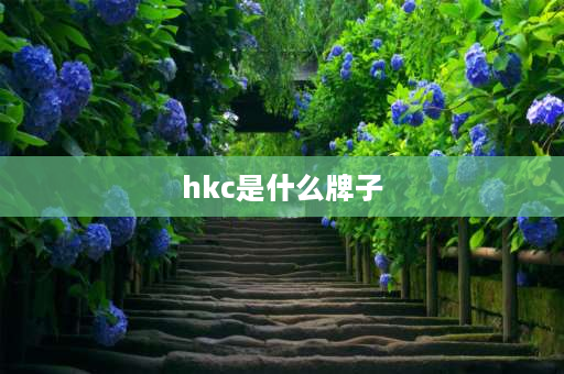 hkc是什么牌子 hkc显示器什么牌子？