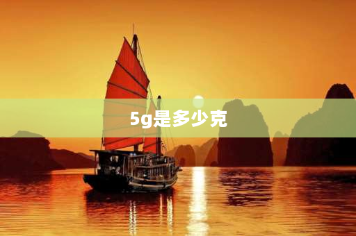 5g是多少克 5g重量有多少啊？