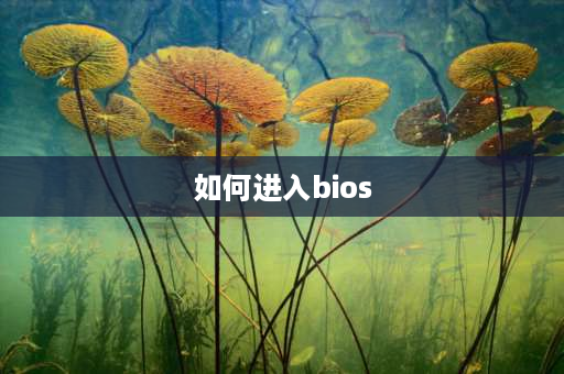 如何进入bios BIOS怎么进？