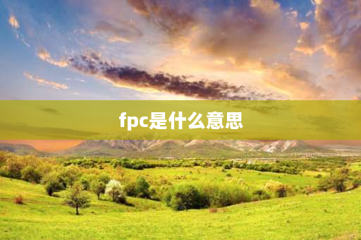 fpc是什么意思 FPC是什么意思？