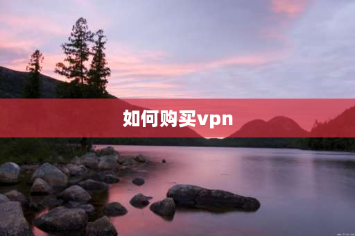 如何购买vpn 含属地购买服务什么意思？