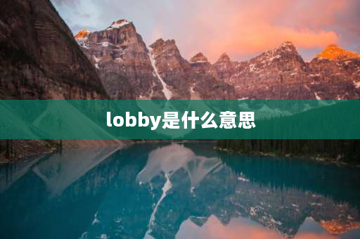 lobby是什么意思 looby可以形容人吗？