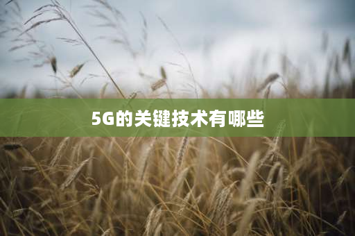 5G的关键技术有哪些 5g网络中增强高空覆盖的关键技术？