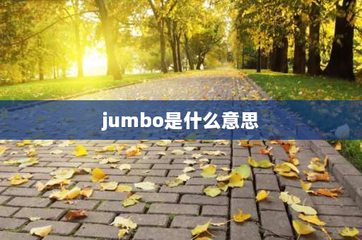 jumbo是什么意思 4jd是什么意思？