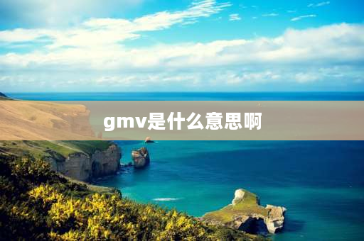 gmv是什么意思啊 GMV指什么？