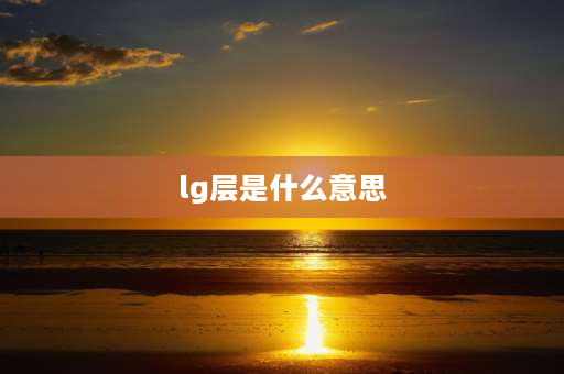 lg层是什么意思 lg是多少层？