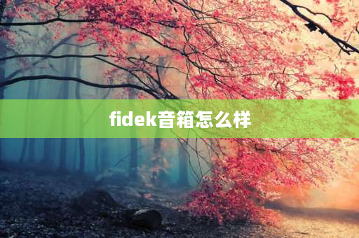 fidek音箱怎么样 fidek使用说明书？