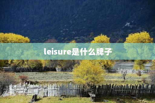 leisure是什么牌子 leisuresports什么牌子？