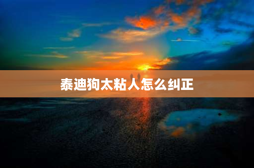 泰迪狗太粘人怎么纠正 为什么泰迪狗只粘着一个人？