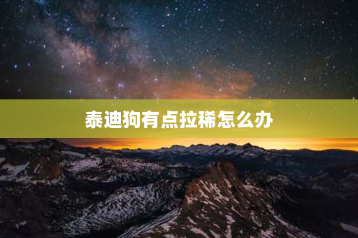 泰迪狗有点拉稀怎么办 泰迪拉肚子怎么办？