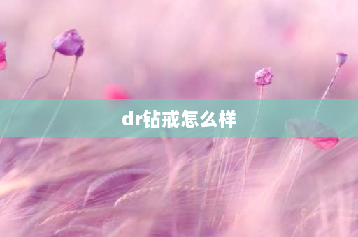 dr钻戒怎么样 dr结婚戒指值得买吗？