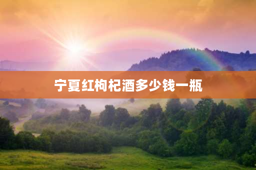 宁夏红枸杞酒多少钱一瓶 宁夏红枸杞哪个牌子的好喝？