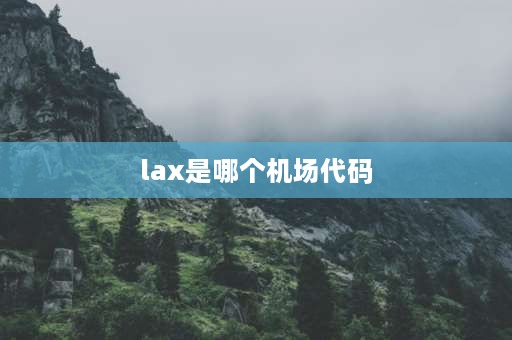 lax是哪个机场代码 lax是哪个港口？