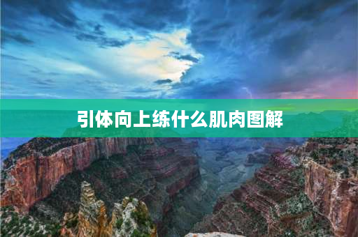 引体向上练什么肌肉图解 对握引体向上锻炼哪块肌肉？