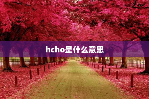 hcho是什么意思 hcho是什么指标？