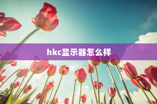 hkc显示器怎么样 hkcg24显示器怎么样？