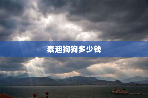 泰迪狗狗多少钱 泰迪养殖成本及利润？