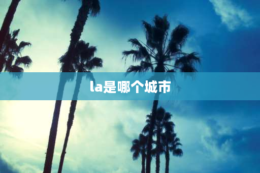 la是哪个城市 LA什么地方？