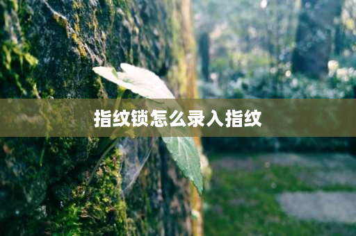 指纹锁怎么录入指纹 智能指纹锁如何添加指纹？