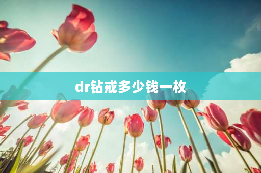 dr钻戒多少钱一枚 dr钻戒最贵多少一枚？