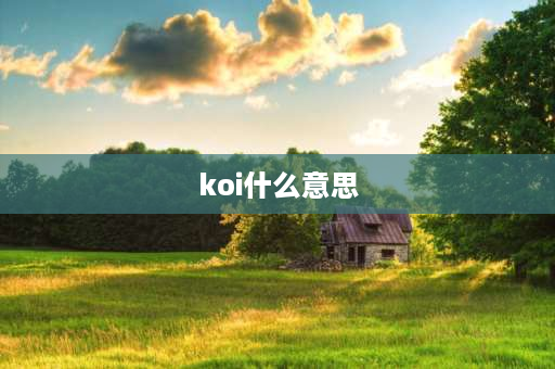 koi什么意思 KOI是什么意思？