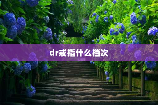 dr戒指什么档次 DR的戒指怎么样？