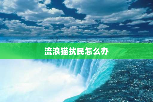 流浪猫扰民怎么办 楼上猫跑扰民怎么治？