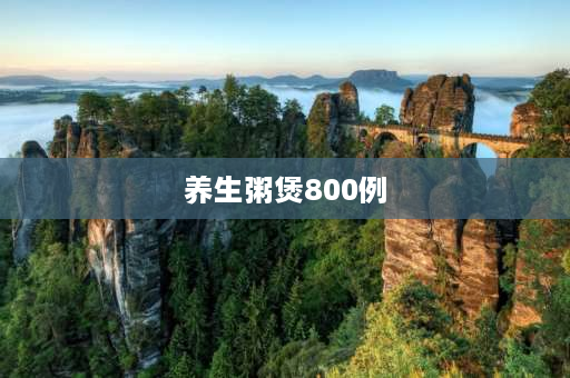 养生粥煲800例 破壁机早餐粥的100种做法？