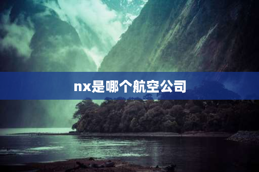 nx是哪个航空公司 nx9是什么意思？