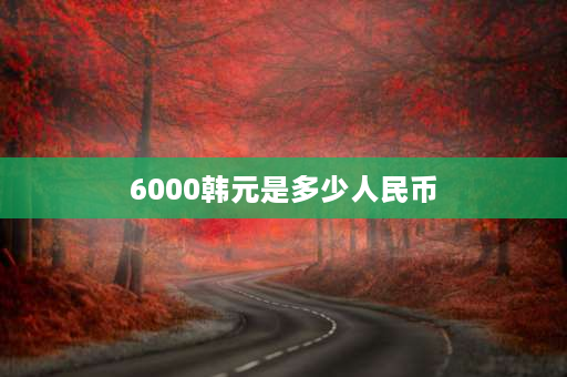 6000韩元是多少人民币 中国留学生在韩国工作的收入是什么水平？