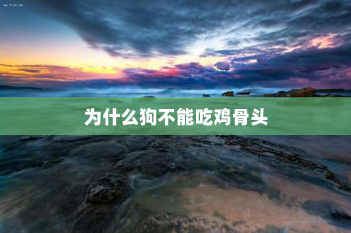 为什么狗不能吃鸡骨头 为什么小狗不能吃鸡骨头？已经吃了该怎么办？