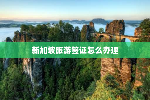 新加坡旅游签证怎么办理 2021中国到新加坡旅游签证？